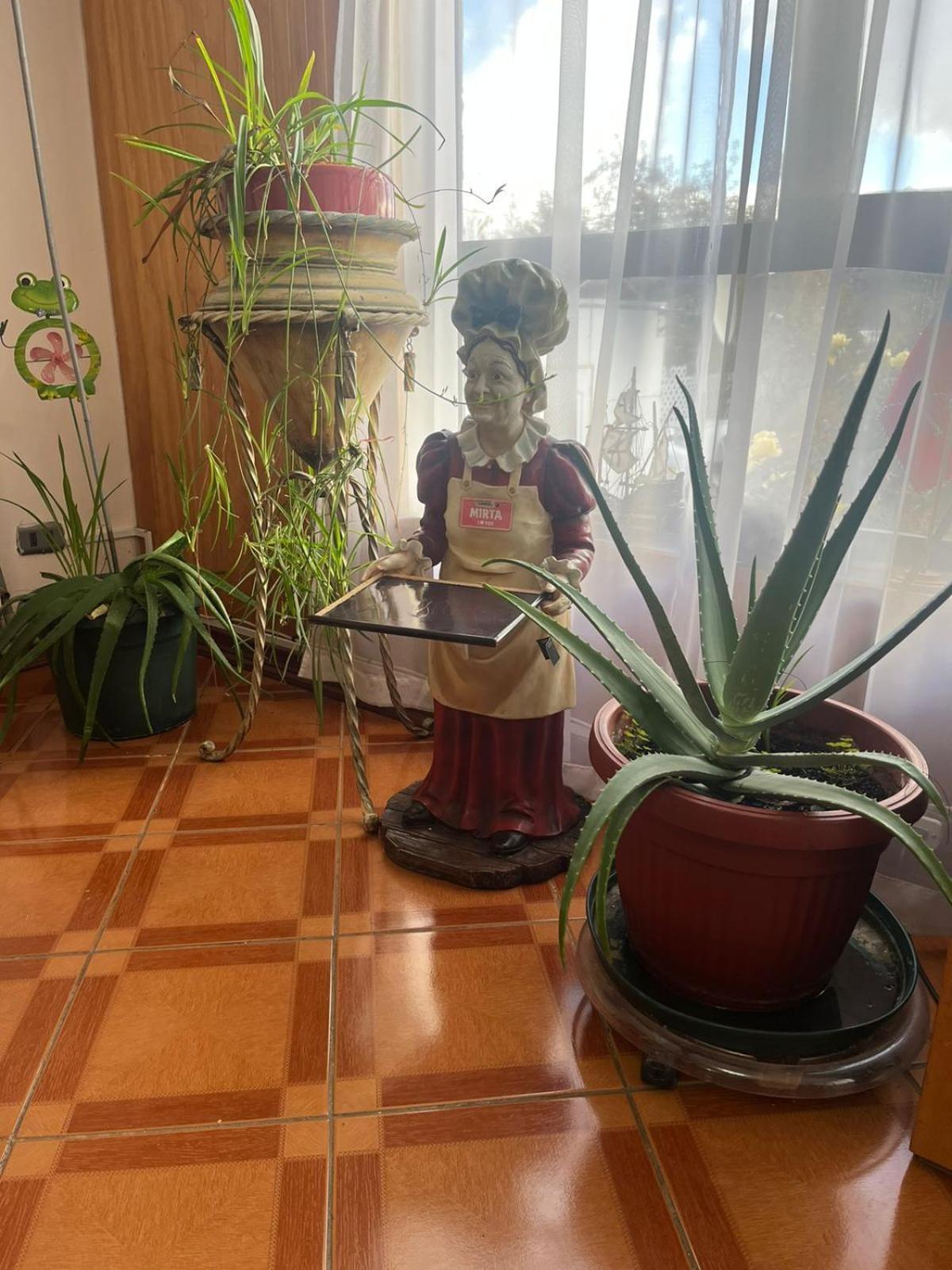 Hostal Espanol Койхайке Екстериор снимка